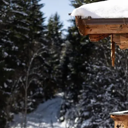 Near Lift With Garden Chalet Neukirchen am Großvenediger
