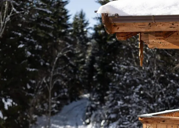 Near Lift With Garden Σαλέ Neukirchen am Großvenediger